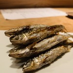 魚とお酒 ごとし - 