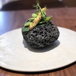 ル スプートニク - 