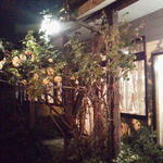 Restaurant DINO 洋食屋 - 白い大輪の花が沢山咲いていて綺麗です。「梅の花」じゃなく薔薇だとおもいます。