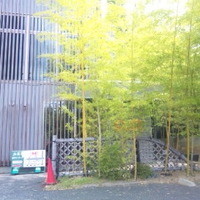 紗羅餐 本店 - 