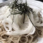 山法師 - 