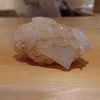 すが弥 - アオリイカ