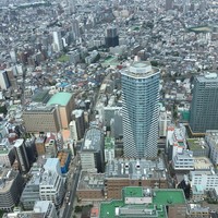 オーシャン カシータ - 