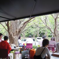 キハチ 青山本店 - 