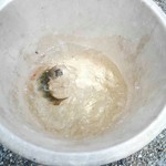 金太郎自然園 - 釣ったやまめ