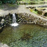 金太郎自然園 - やまめといわなのいけす