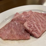 Sumibiyakinikuohakotei - 三角バラ塩