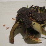 カンテサンス - 