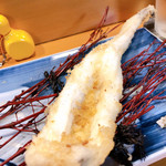 浅草じゅうろく - 穴子