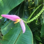 手打ちめん処 鍵 - 