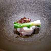 霜止出苗 - ☆きんき