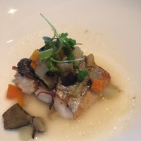 オチェーアノ - 