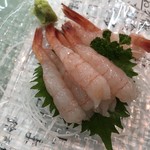 新潟本町 鈴木鮮魚 - 