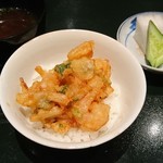 Tempura Minamo - 