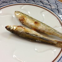 割烹 やました - 