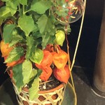 浅草じゅうろく - ほおずき
      鬼灯