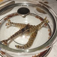 筑紫樓 銀座店 - 