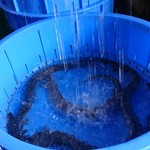 虎ノ門 うなぎのお宿