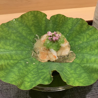津の守坂 小柴 - 