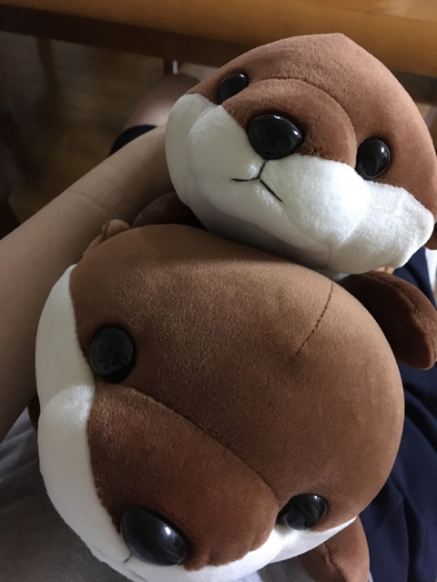 コスパ悪いけど 可愛いから許す By ナノピコ 宮島水族館 ミュージアムショップ 広電宮島口 その他 食べログ