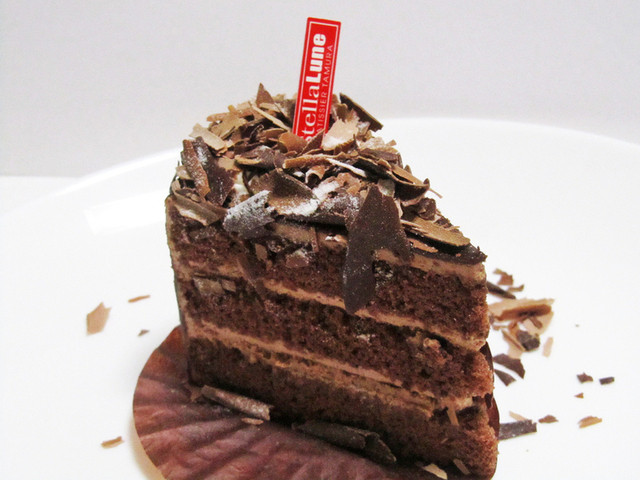 StellaLune Hon Ten photo