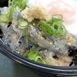 山海料理仁志乃 - 生しらす丼税抜1000円