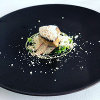 シグネチャー - 