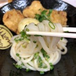 手打ちうどん 紅屋 - ちょうど良い麺の細さだけど弾力が凄い！