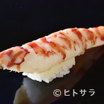 Sushi Kakuno - 車海老