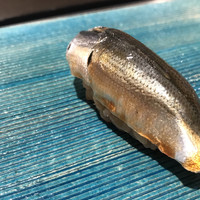 築地青空三代目 本店 - 新子１２００円。おまかせを注文する際に小肌を一緒に頼みましたが、新子があるとおっしゃるので。。酸味が強い味わいでしたが、爽やかさとフワフワ感は出ていて、とても美味しく夏をいただきました（╹◡╹）