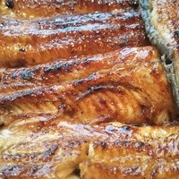 うなぎ藤田 白金台店 -  うなぎ藤田 白金台店 -