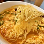 Hidakaya - 麺は普通の麺