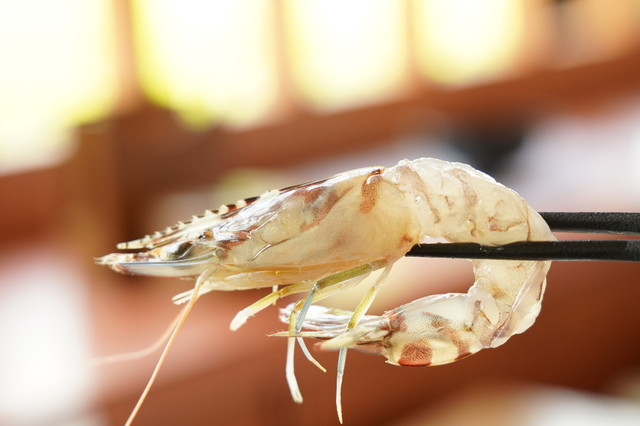 黒潮ダイニング 花 宮町 魚介料理 海鮮料理 食べログ 黒潮ダイニング 花 宮町 魚介料理 海鮮料理 食べログ