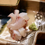 花いち - 鯛の霜降り