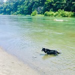 純手打ち讃岐うどん 土三寒六 - 食後は玉淀河原で冷やし犬