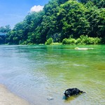 純手打ち讃岐うどん 土三寒六 - 