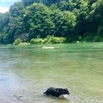 純手打ち讃岐うどん 土三寒六 - 