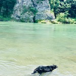 純手打ち讃岐うどん 土三寒六 - 