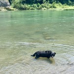 純手打ち讃岐うどん 土三寒六 - 