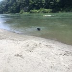 純手打ち讃岐うどん 土三寒六 - 