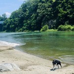 純手打ち讃岐うどん 土三寒六 - 