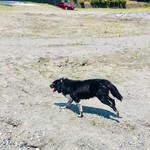 純手打ち讃岐うどん 土三寒六 - 