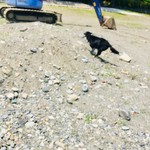 純手打ち讃岐うどん 土三寒六 - 