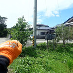 Touyabou - 泉ヶ岳に行く途中、県道から少し入ったとこミャ