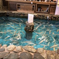 河太郎 中洲本店 - 