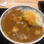 麺麺麺 - カレー丼