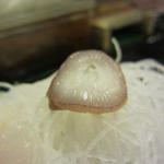 宝寿司分店 - たこの吸盤