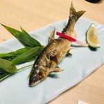 鯉とりまあしゃん 春吉店 - 