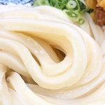 極楽うどん TKU - 