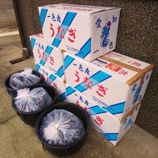 大切なお客様に、安心安全な国産うなぎだけをお届けします。